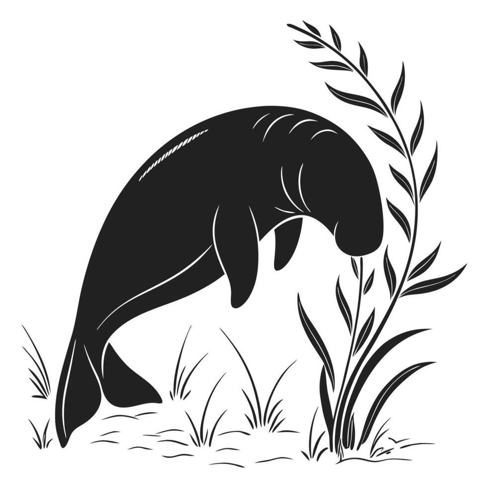 Manatee Silhouette Feeding On Aquatic Plants vector