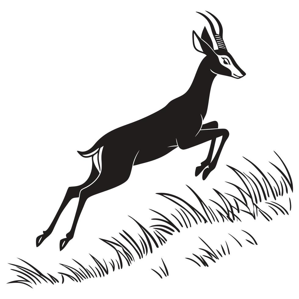 Black Springbok Leaping Over Grass vector