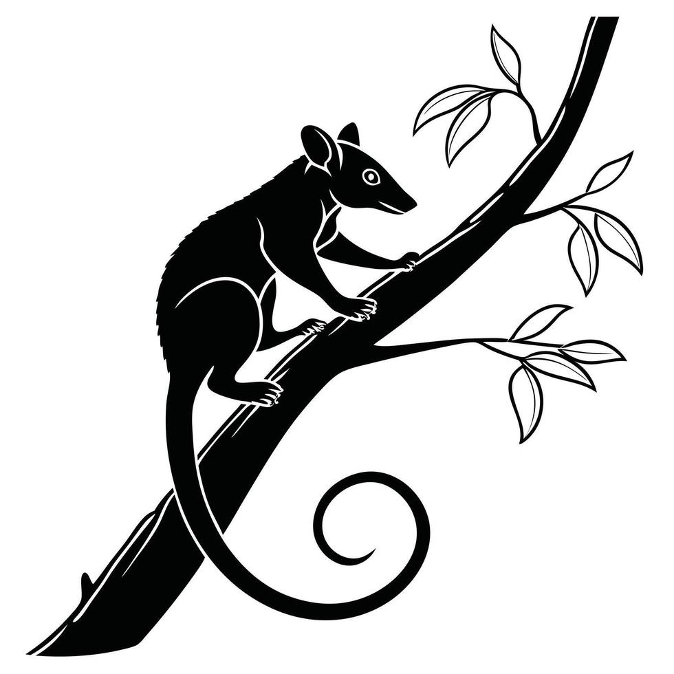 Opossum Climbing Tree Black And White vector