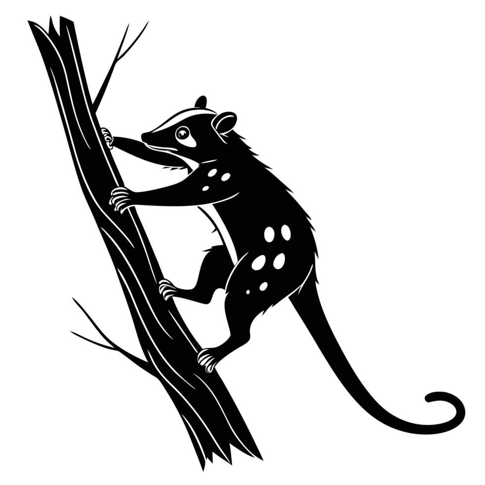 Quoll Climbing Tree Black And White vector
