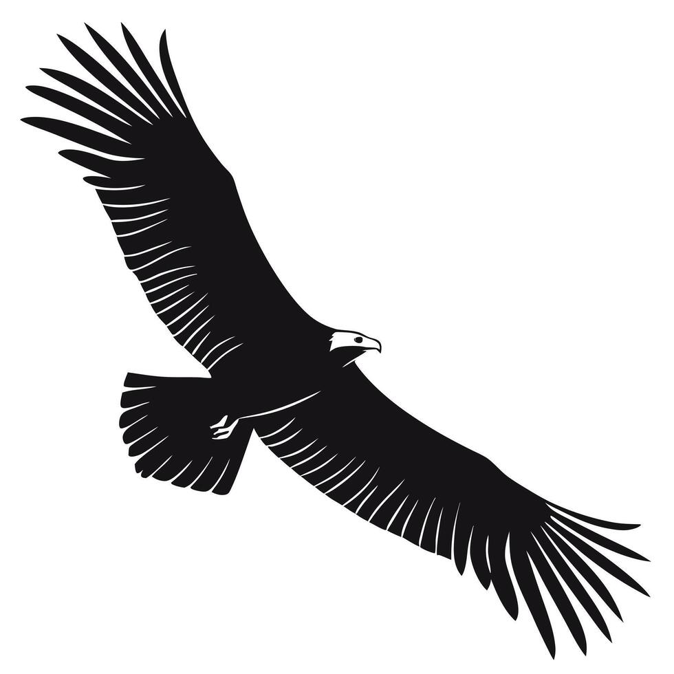 Isolated Silhouette Of Eagle Flying vector
