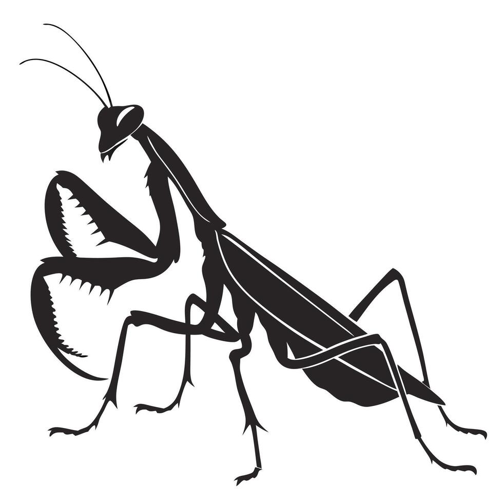 Praying Mantis Silhouette Illustration Insect vector