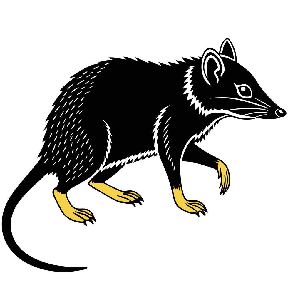 Monochrome Illustration Of An Agouti vector