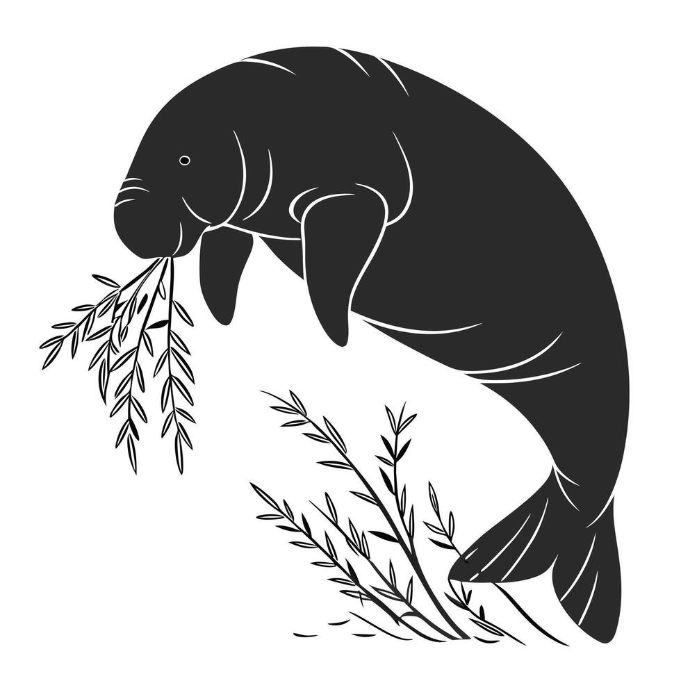 Manatee Eating Seagrass Monochrome Simple vector