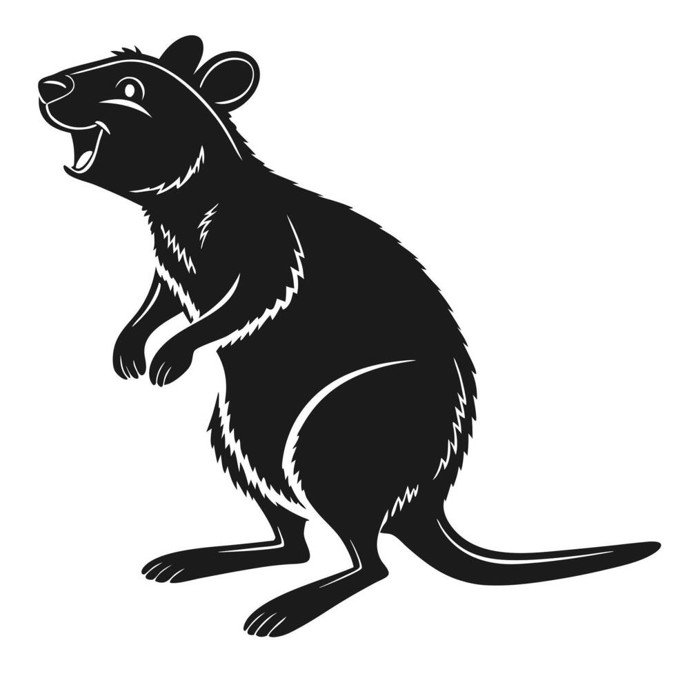 Quokka Illustration On White Background vector