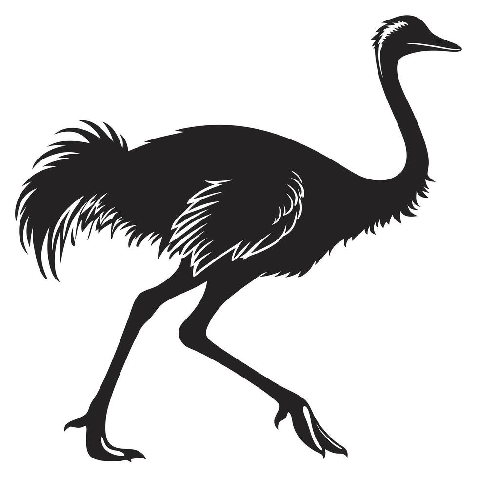 Ostrich Silhouette Walking On White Background vector