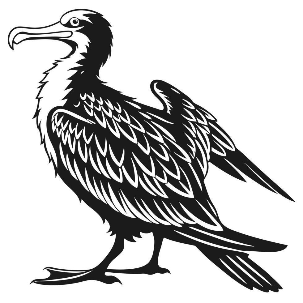 Cormorant Bird Isolated Black And White vector