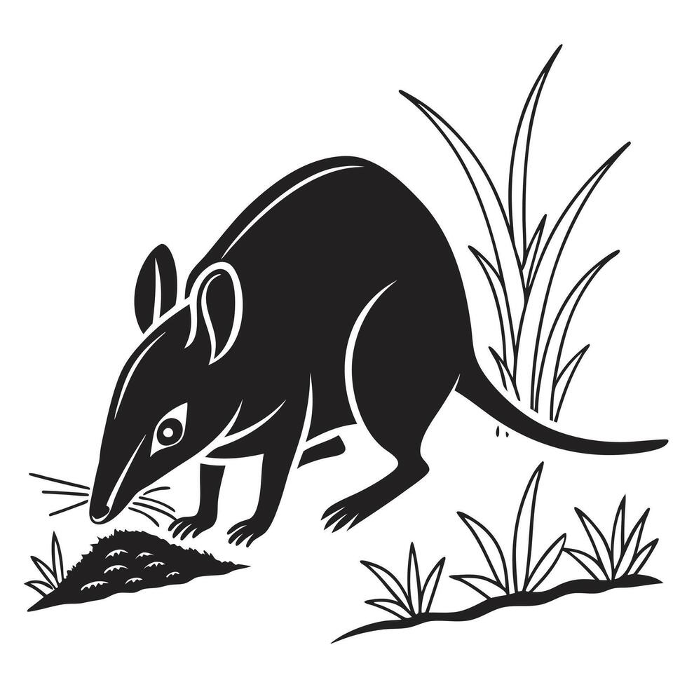 Isolated Bandicoot Eating Black And White vector