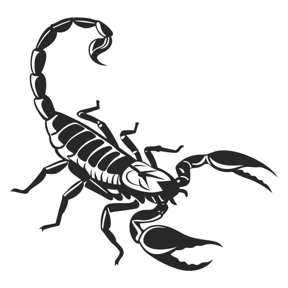 Monochrome Illustration Of A Detailed Scorpion vector