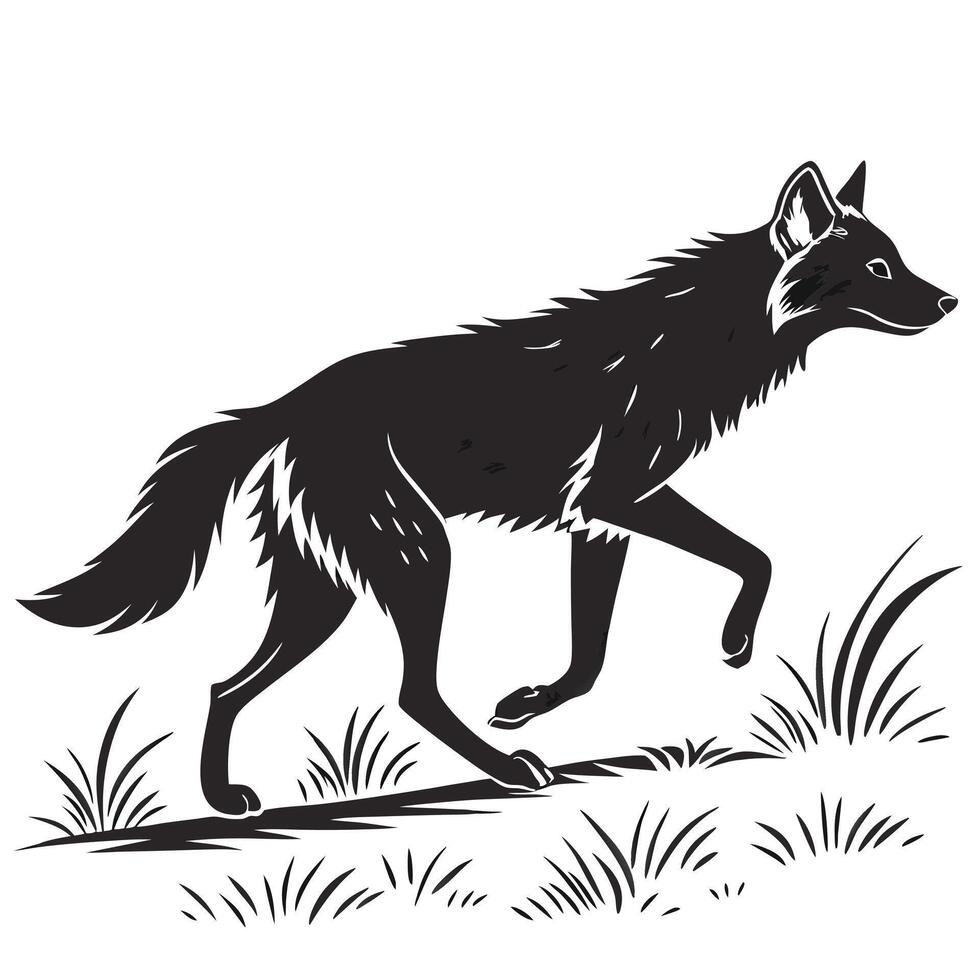 Silhouette Of Wolf Walking Through Grass vector