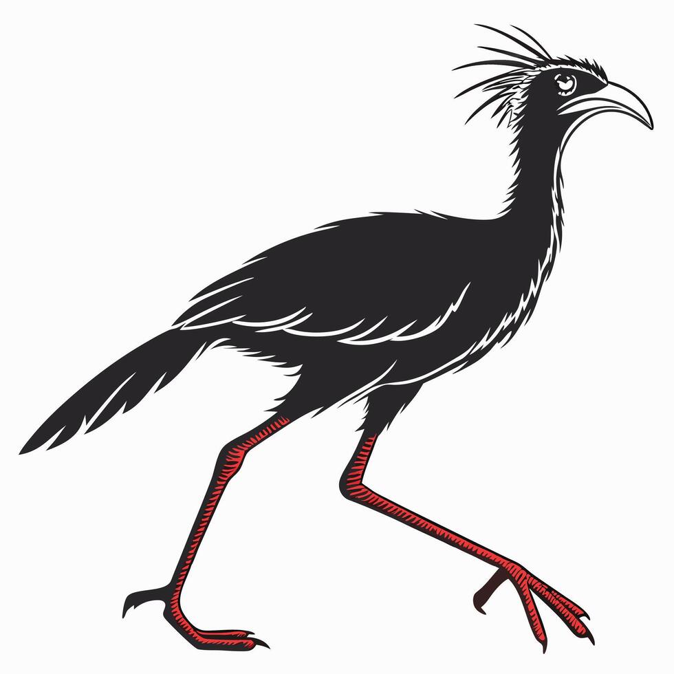 Elegant Seriema Bird Black Image vector
