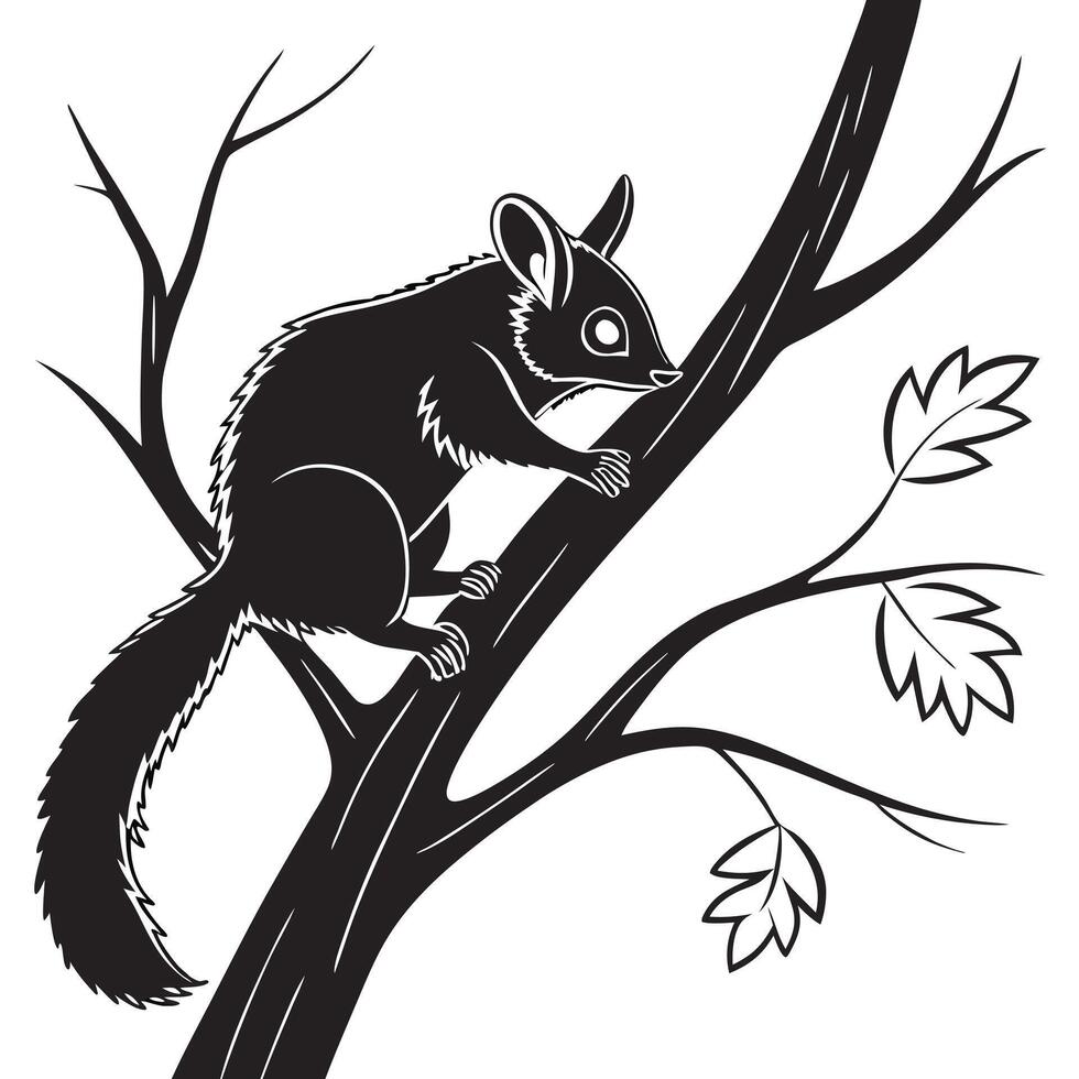 Possum Climbing Tree Black And White vector