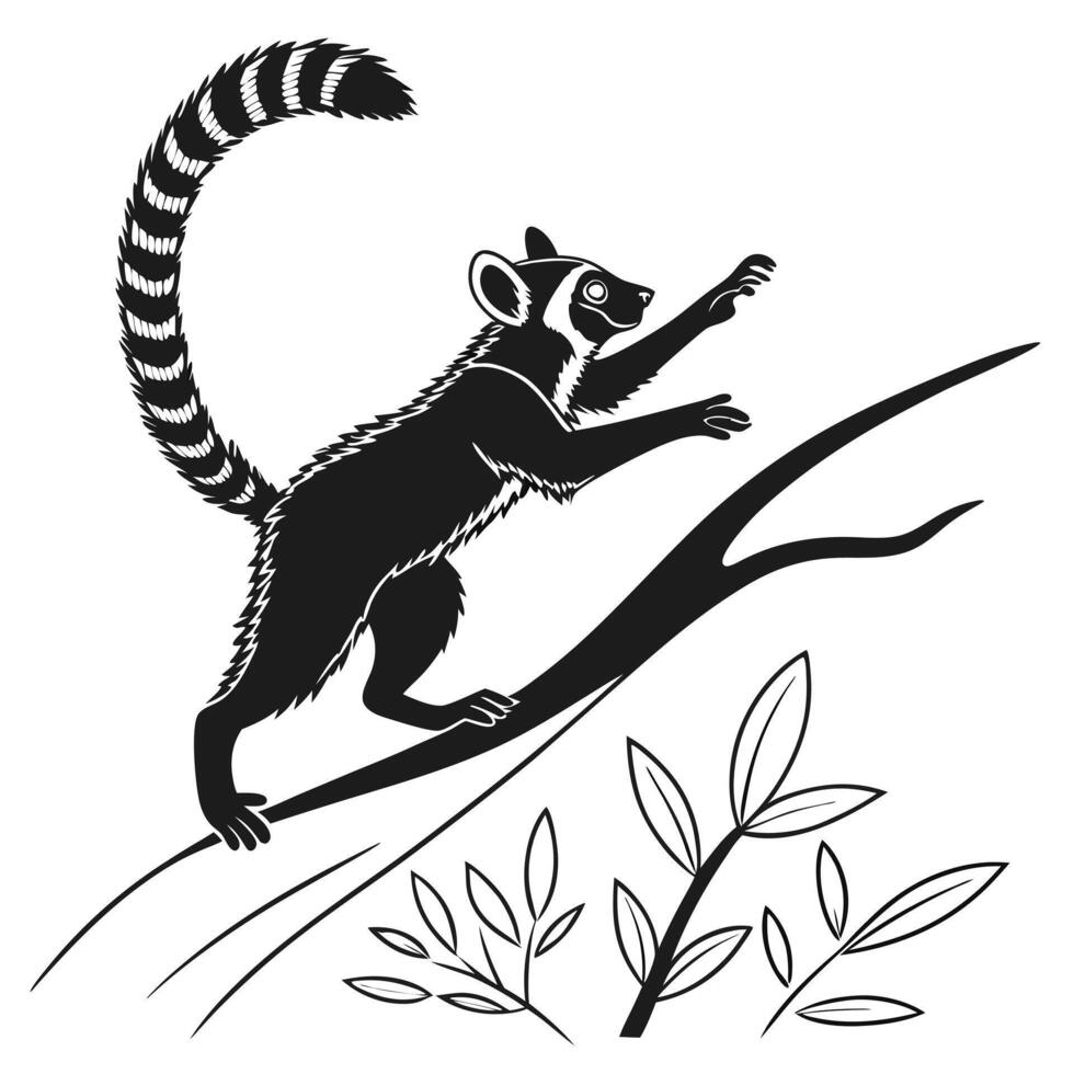 Black And White Lemur vector