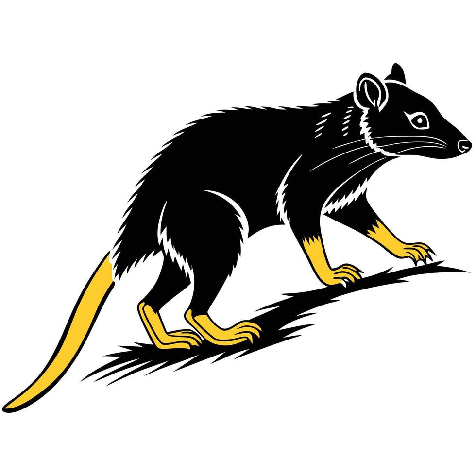 Bush Rat Illustration Isolated Image vector