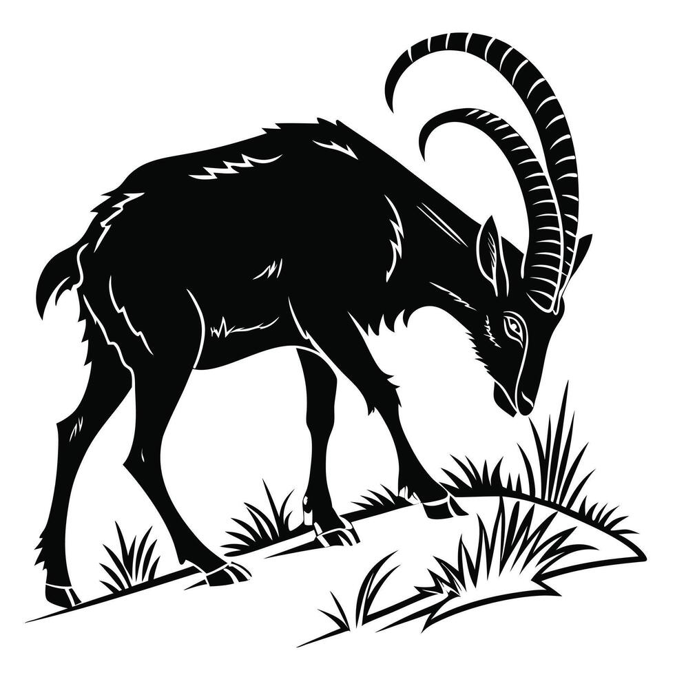 Black Silhouette Of Ibex Eating Grass vector