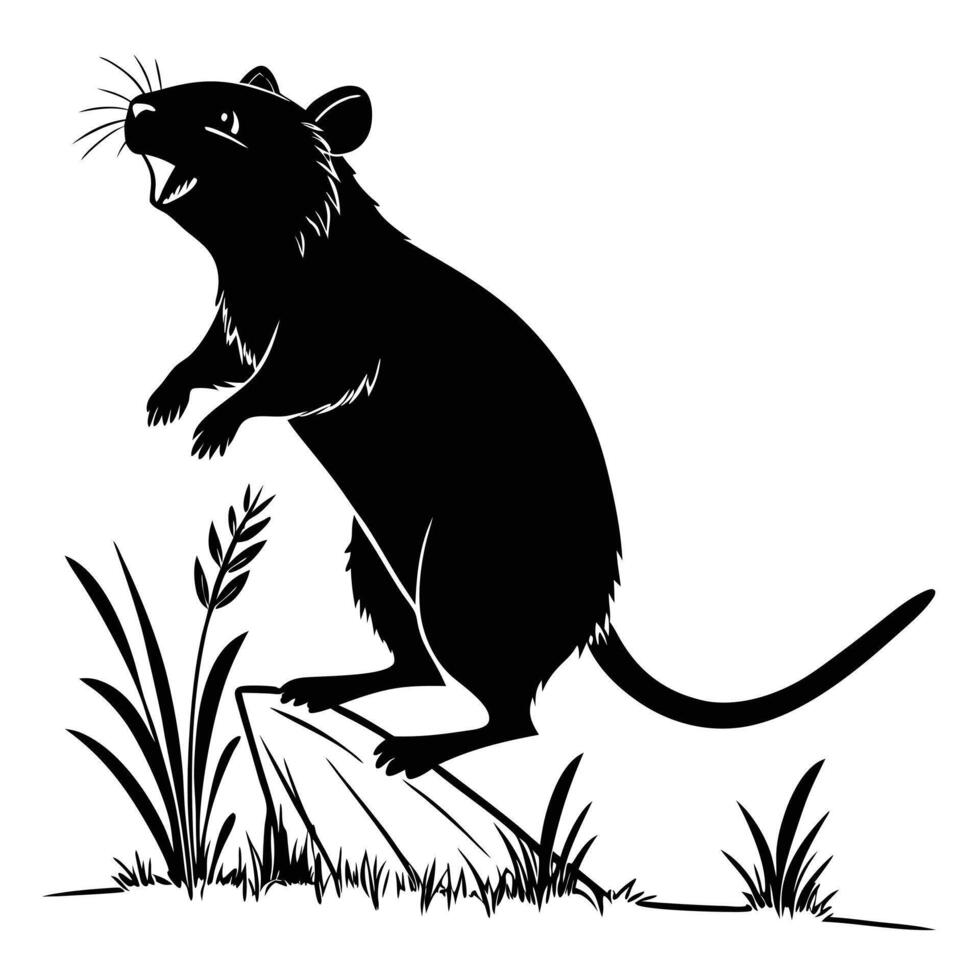 Silhouette Rat Standing On Rock Grass vector
