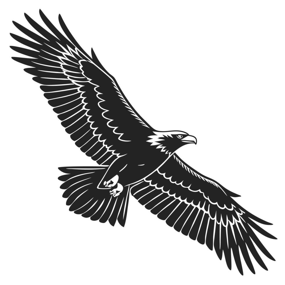 Eagle Flying Black And White vector