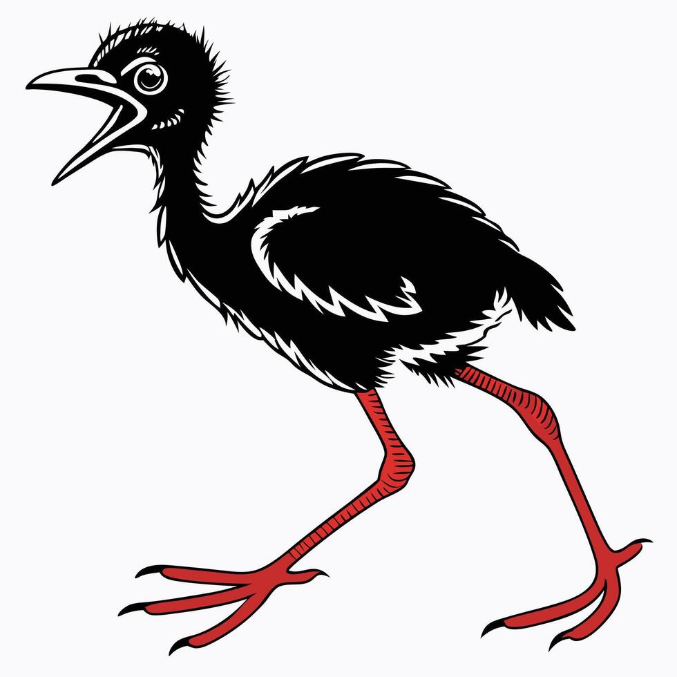 Cartoon Black Bird With Red Legs vector