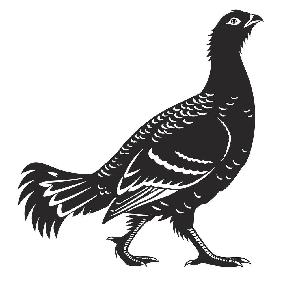 Walking Black Grouse Silhouette Image vector