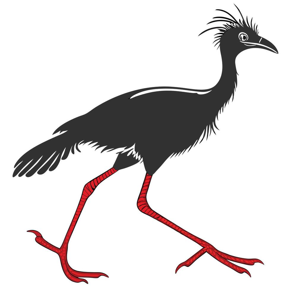 Silhouette Of Kagu Bird Walking Isolated vector