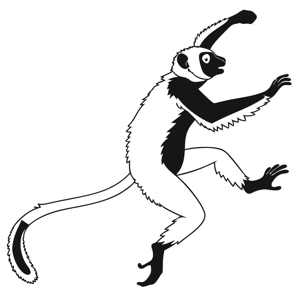 Image Of Dancing Sifaka Lemur vector