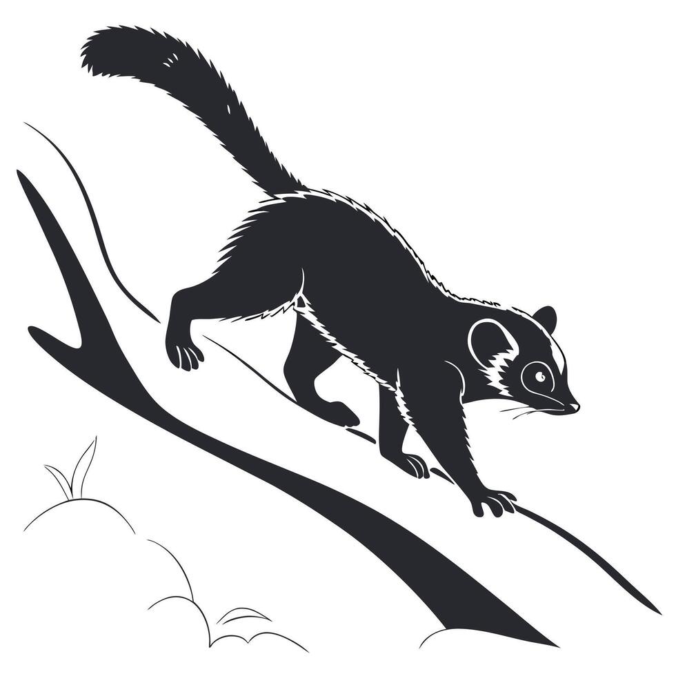 Silhouette Ring Tailed Possum On Branch vector