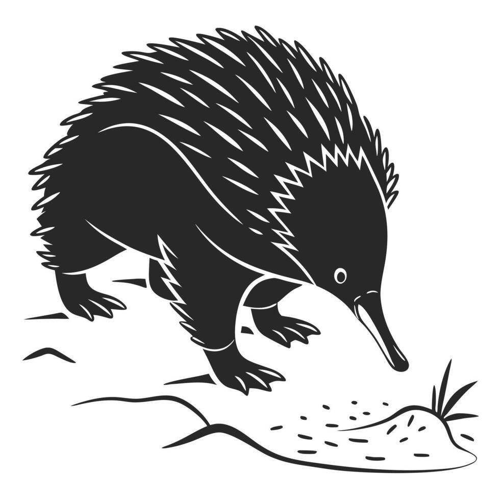 Echidna Foraging Black And White Art vector