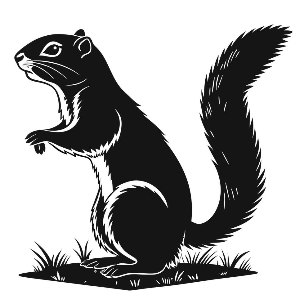 Squirrel Silhouette Standing In Grass Illustration vector