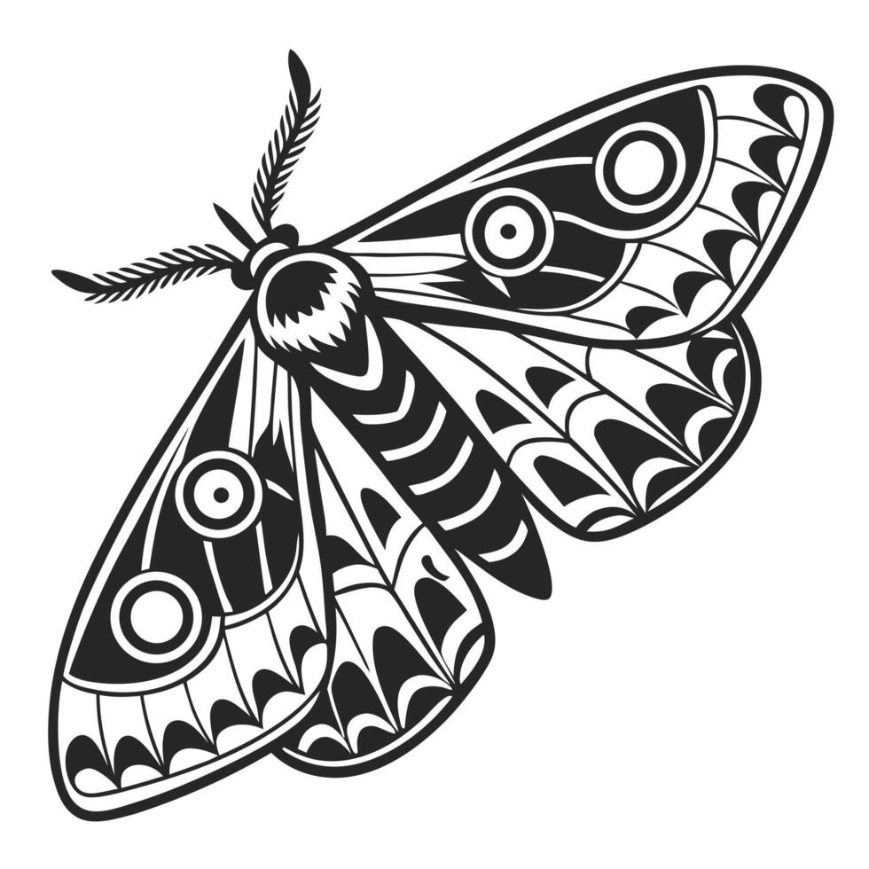 Stylish Moth Insect With Circle Patterns vector