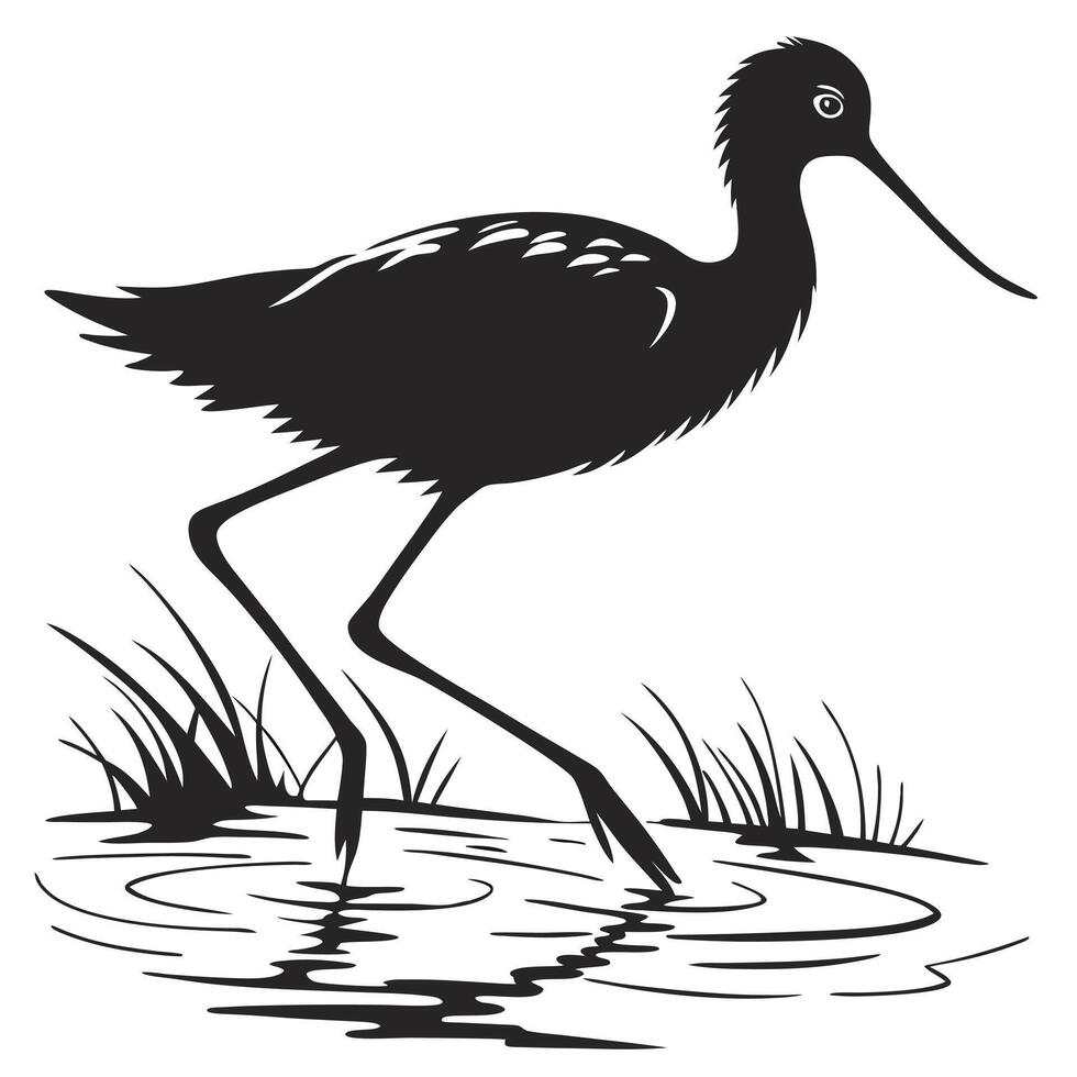Wading Bird Silhouette In Water vector