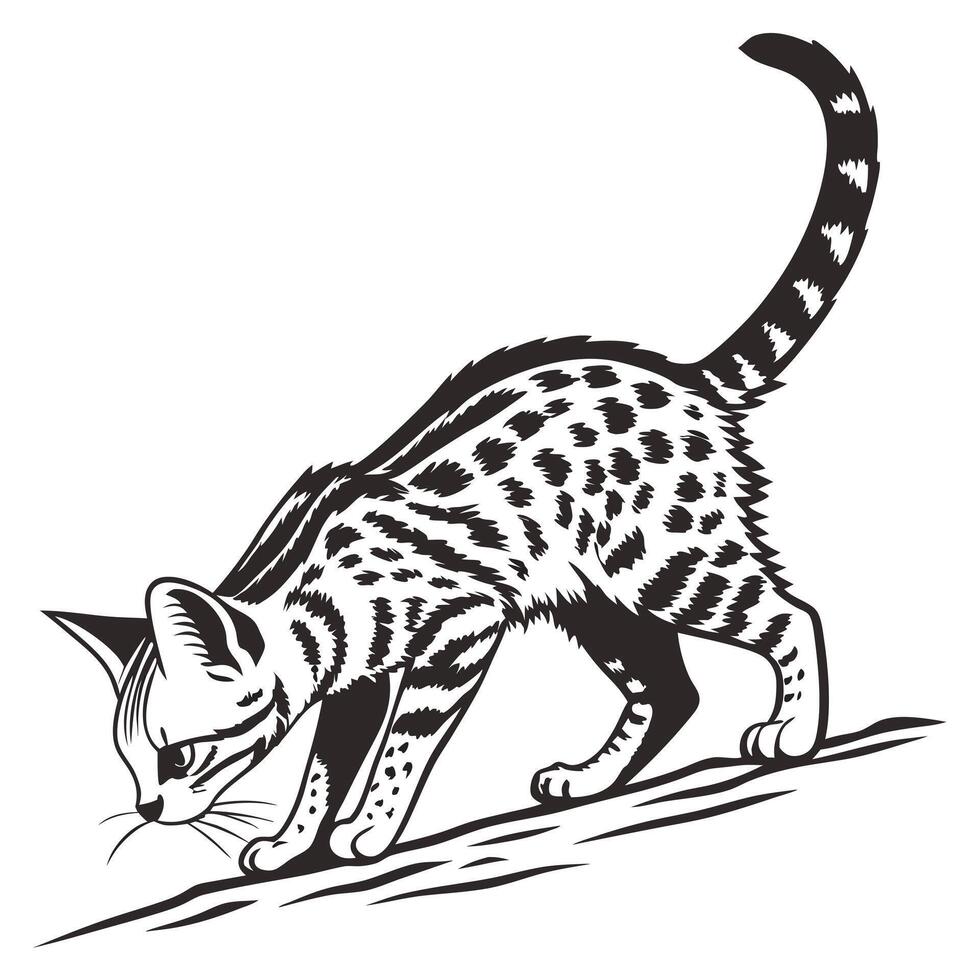 Illustration Of Serval Cat Sniffing vector