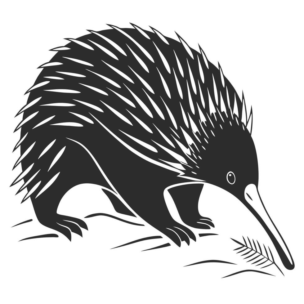 Illustration Of An Echidna Icon vector