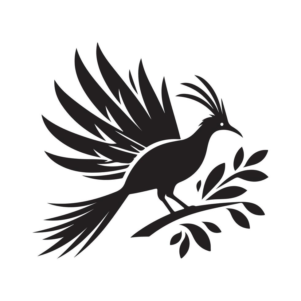 Superb Lyrebird Silhouette for Nature Inspired Designs vector