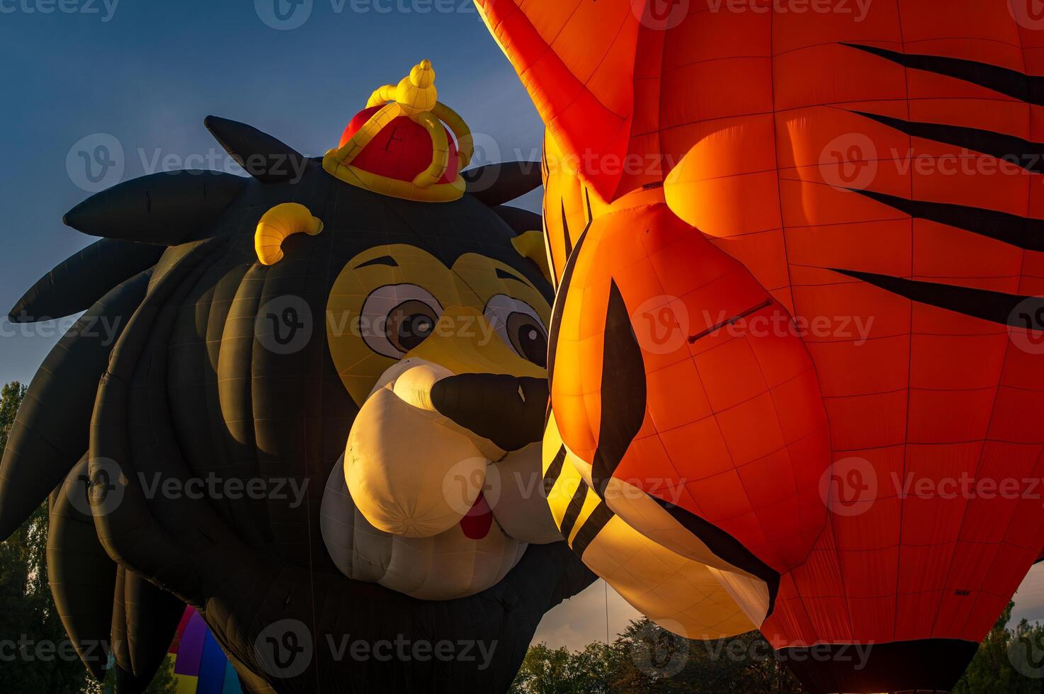 Lion and tiger hot air balloon ACT photo