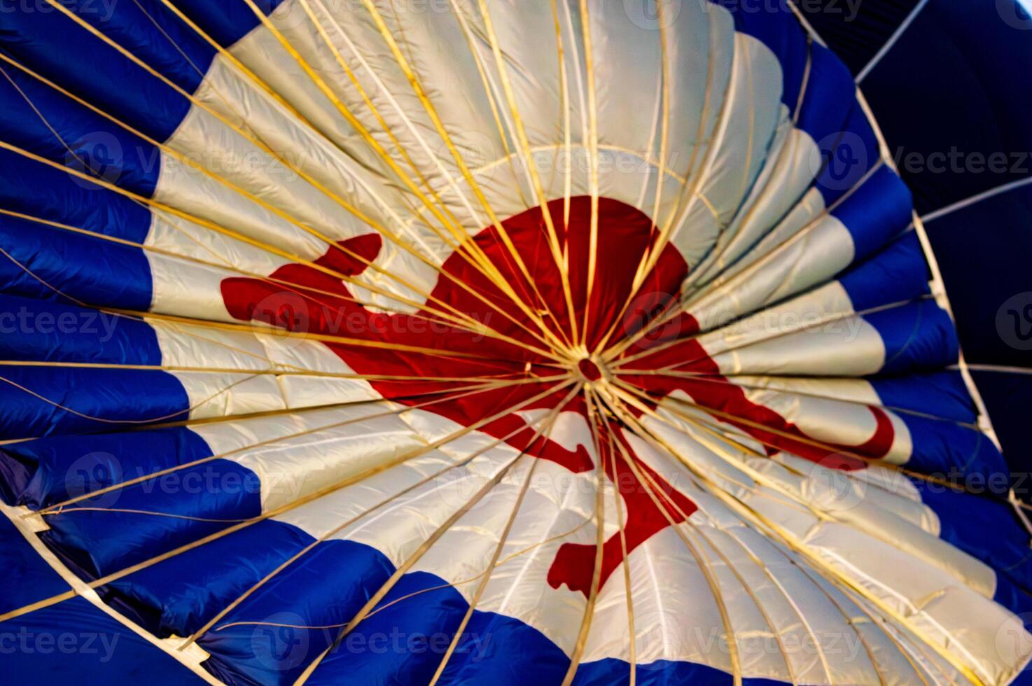Australian red kangaroo hot air balloon photo