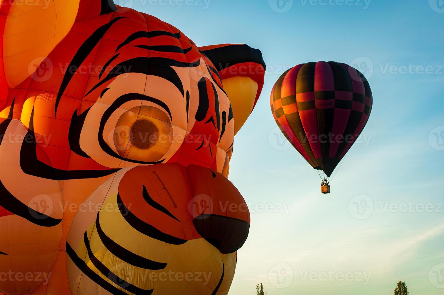 Tiger hot air balloon with multi coloured balloon in background photo