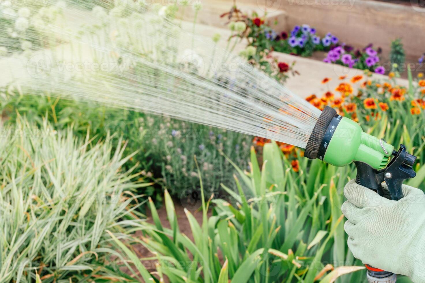 Hose attachment with diffuser for watering and irrigation in the home garden. photo