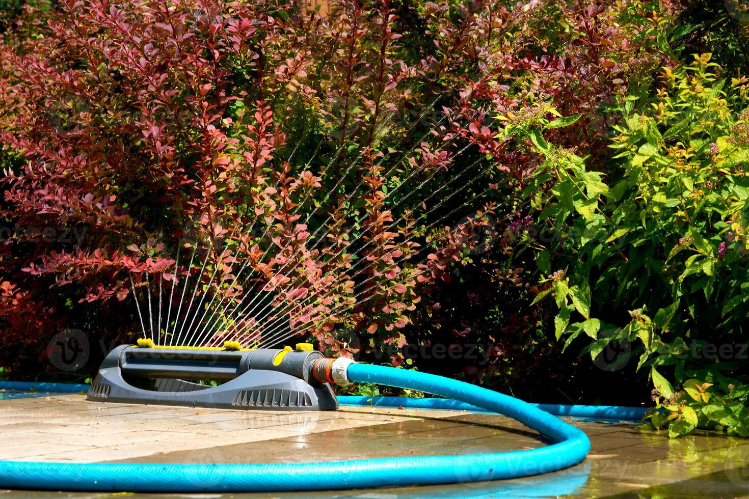 Summer sprinkler watering flowers on hot day,Irrigation system,gardening photo