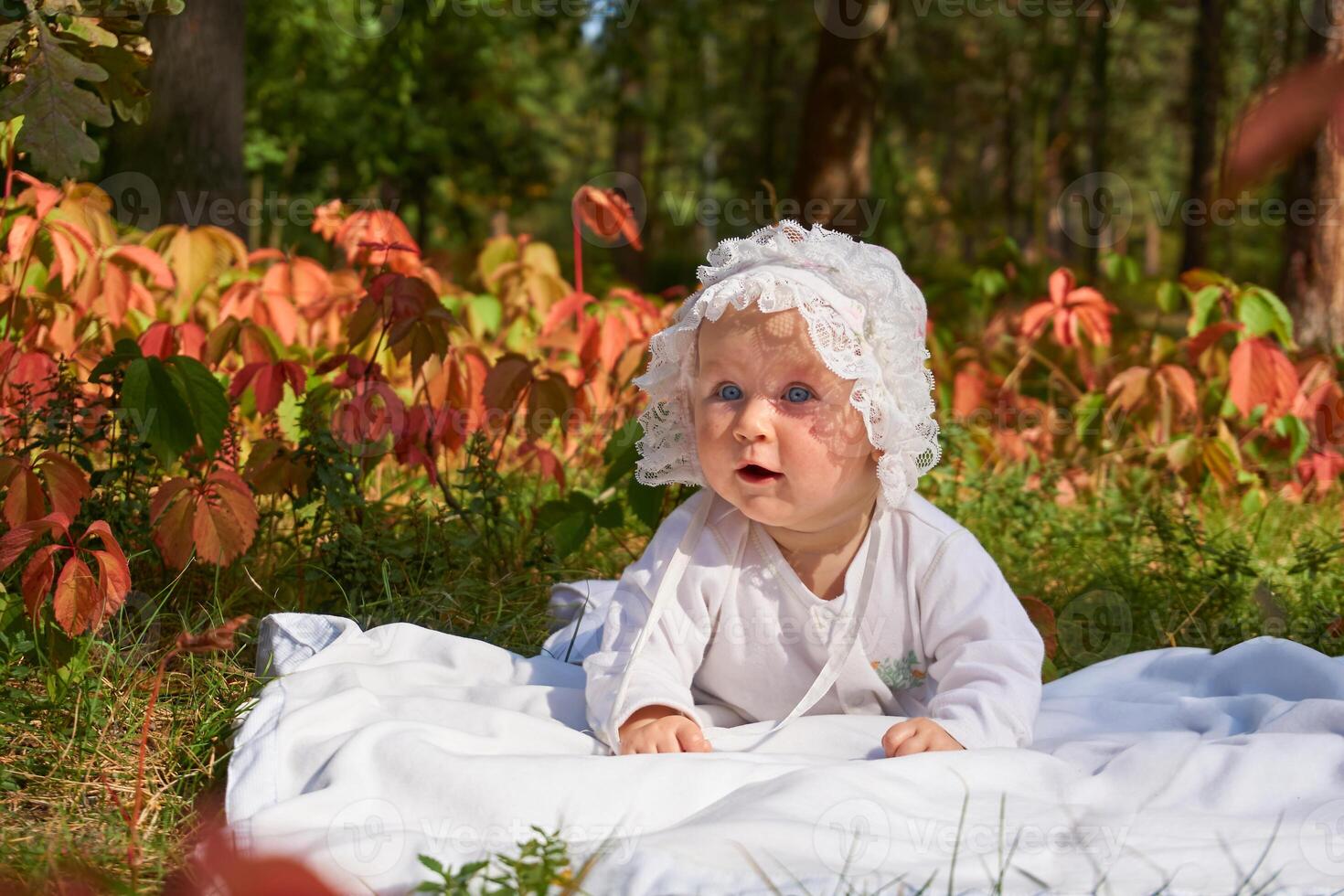 Little cute baby crawling on blanket on warm summer day in park photo
