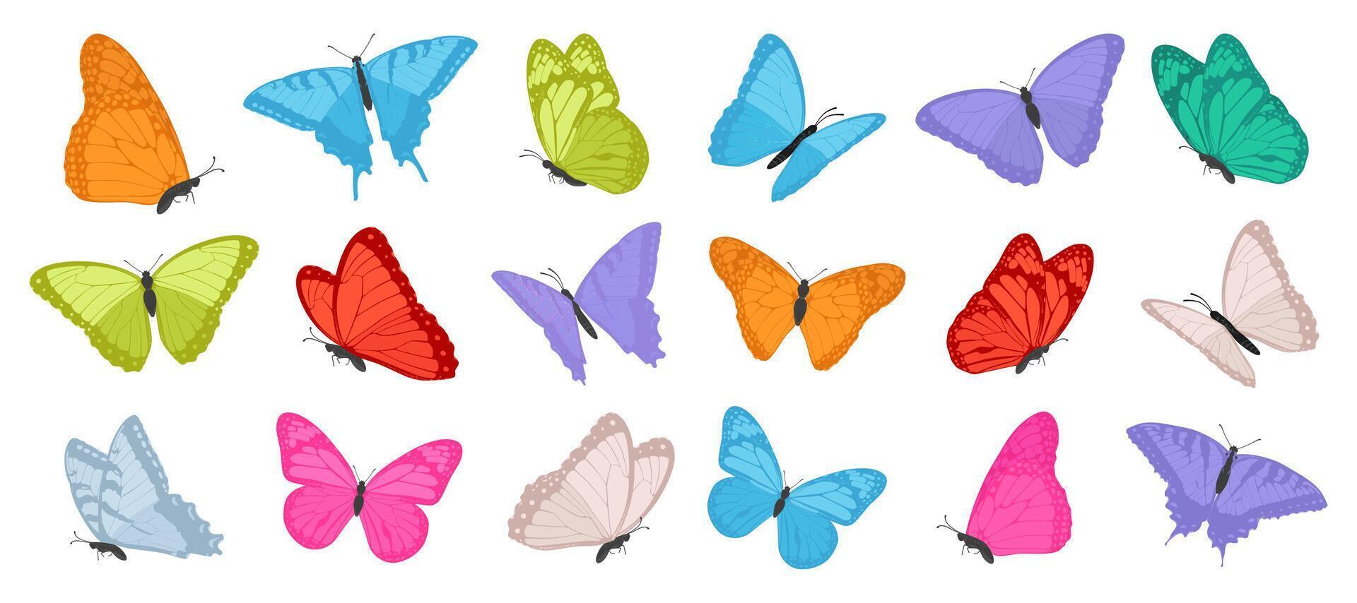 Set of bright flying butterflies. Decorative spring and summer insect collection. Illustration. vector