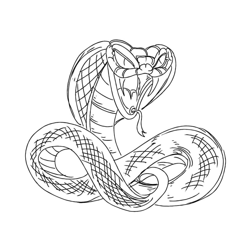 A snake is drawn in a line on a white background vector