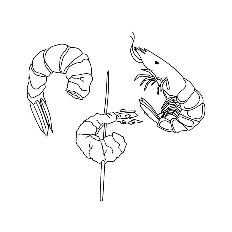 Shrimp and shrimp on a skewer coloring page vector