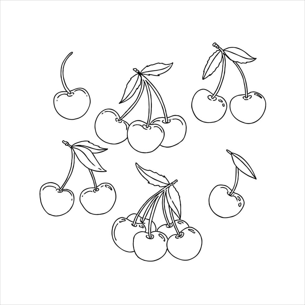 Cherries in a line drawing vector