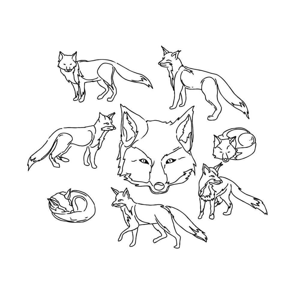 Foxes coloring pages for kids vector