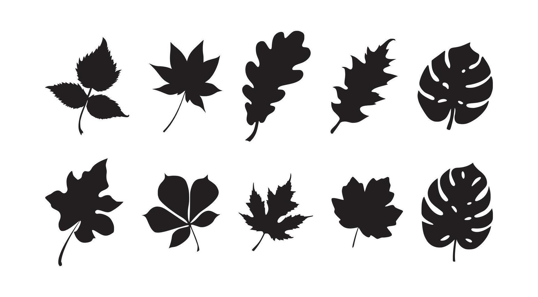 set of leaves silhouette illustration vector