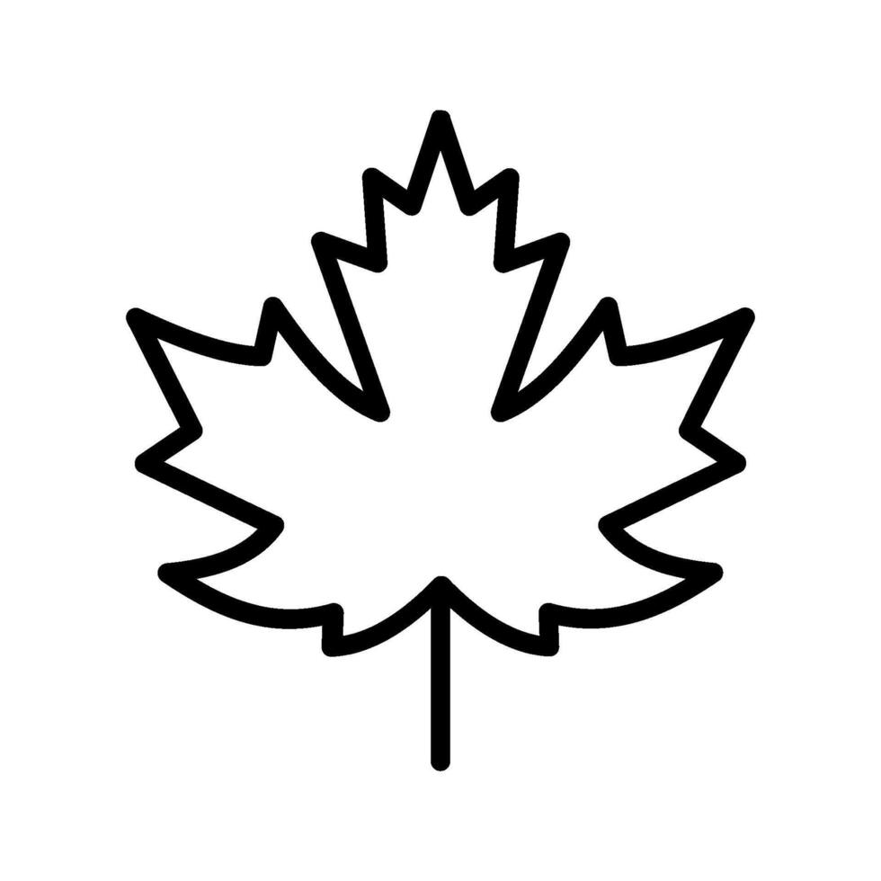 Maple leaf icon. vector