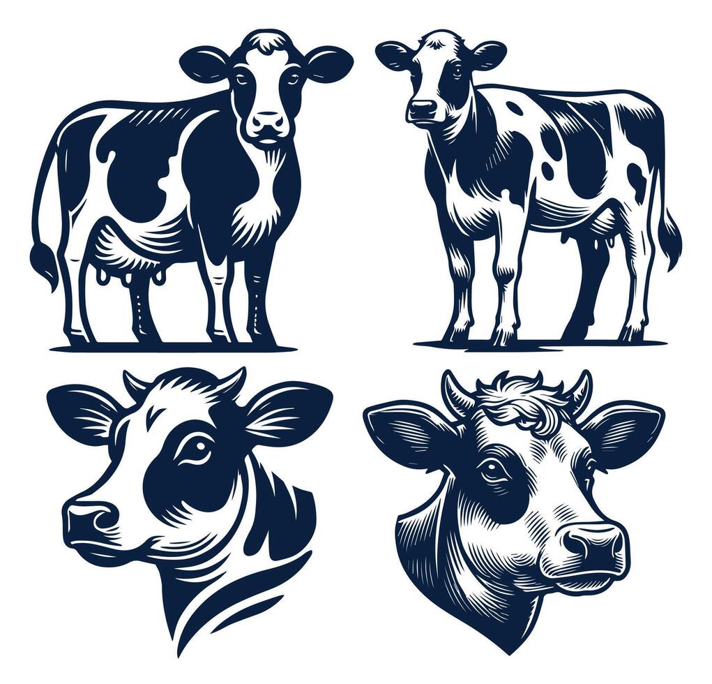 Dairy Cows Illustration Design Set, Isolated in white background vector