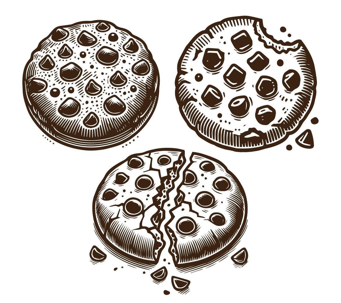 Choco chips cookies illustration set vector