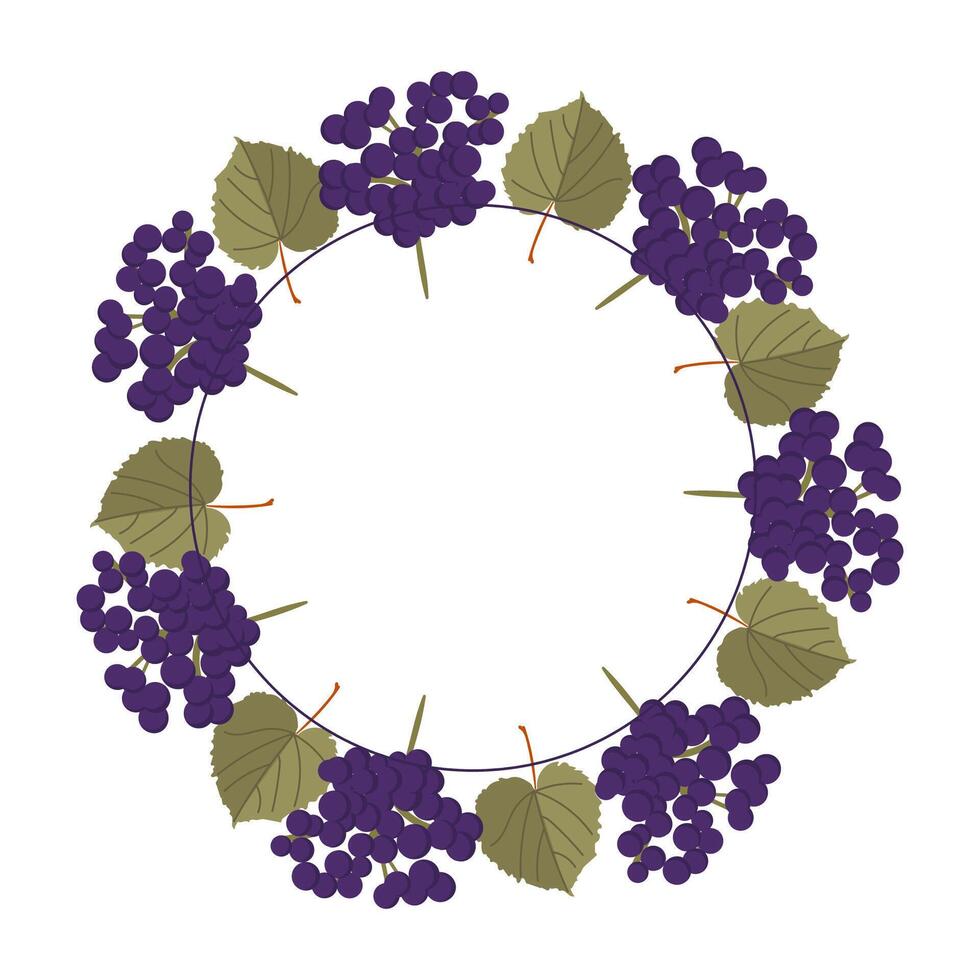 Frame is in the form of a circle of grapes and leaves vector