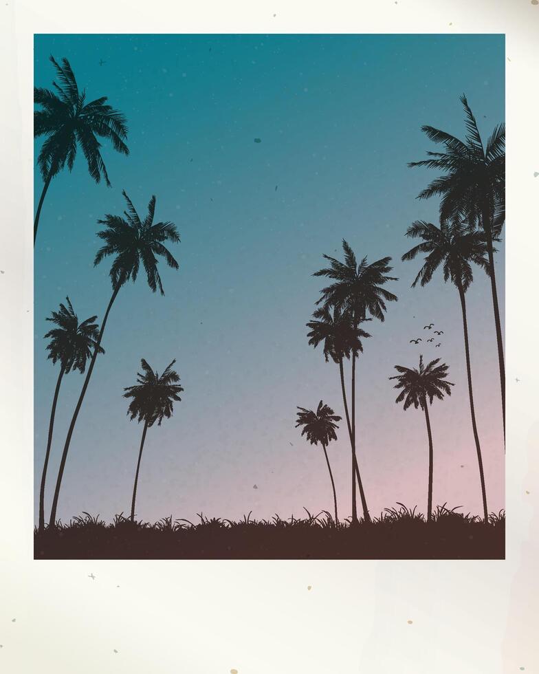 Old polaroid photography of coconut palm trees and twilight sky background with stained effect graphic illustration have blank space. vector